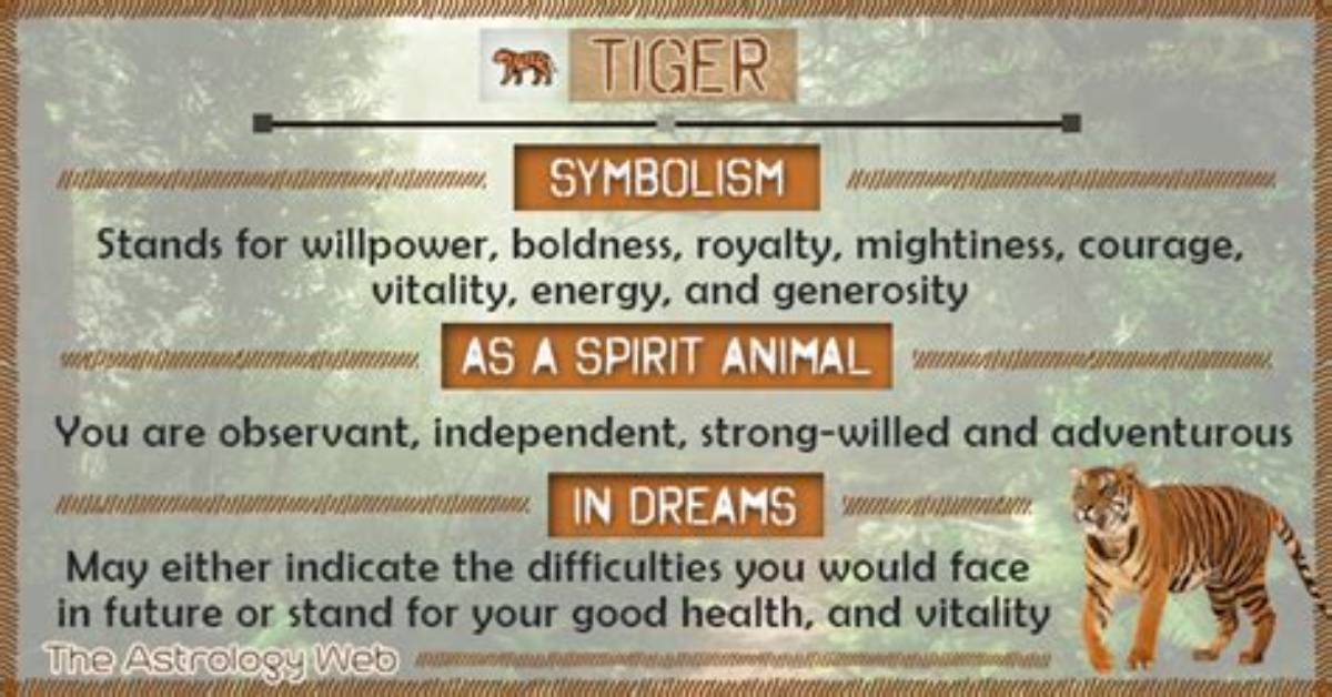 What Does Asian Tiger Mean