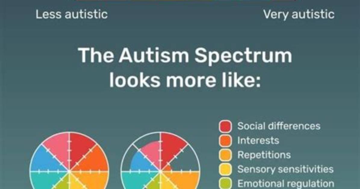 What Does Autism Really Mean?