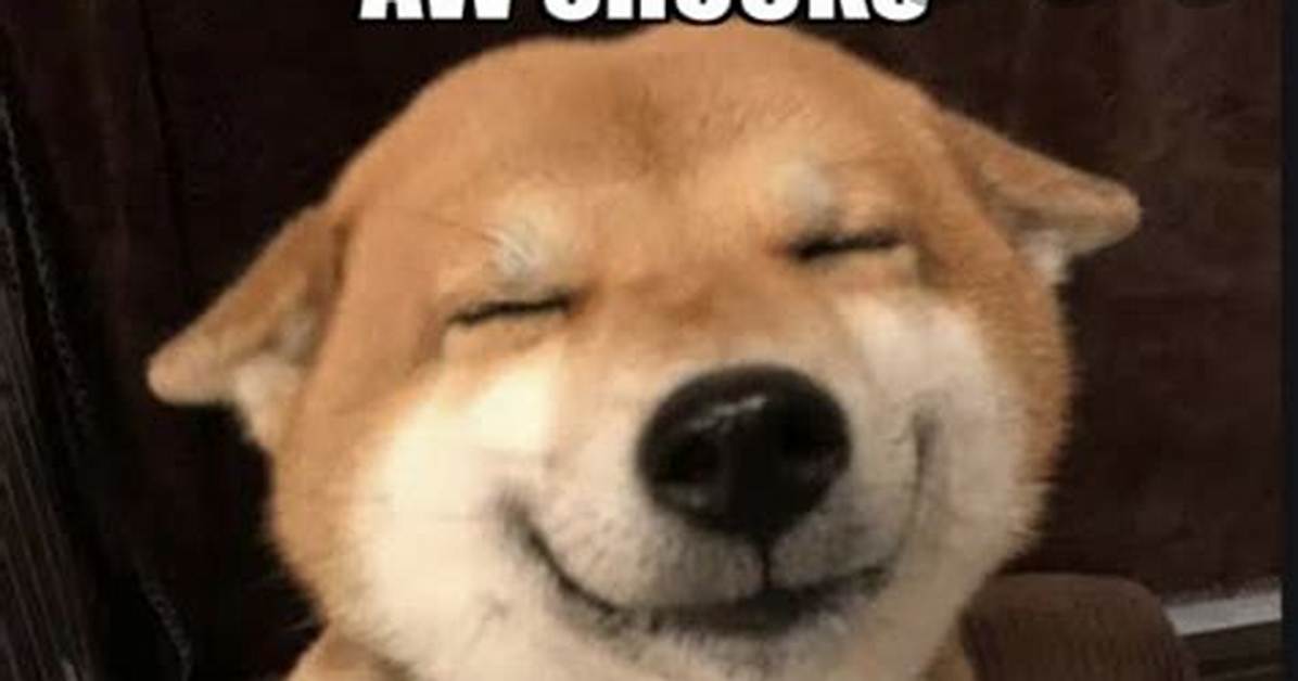 What Does Aw Shucks Mean