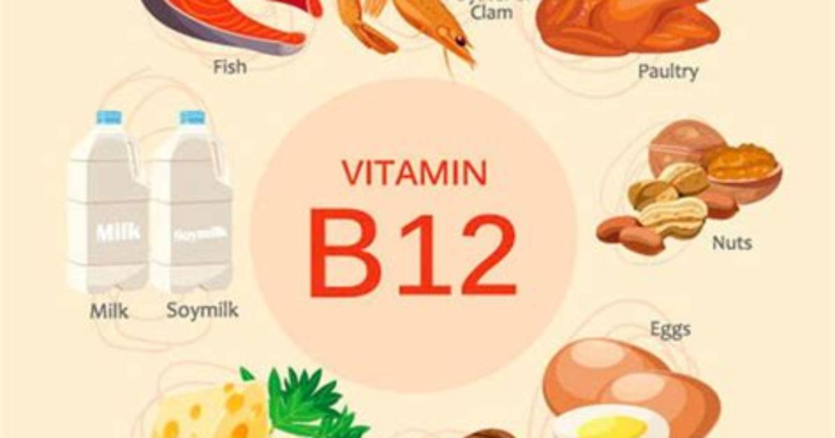 What Does B12 Do for a Cat