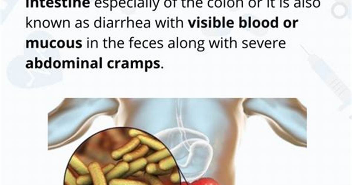 What Does Bacillary Dysentery?