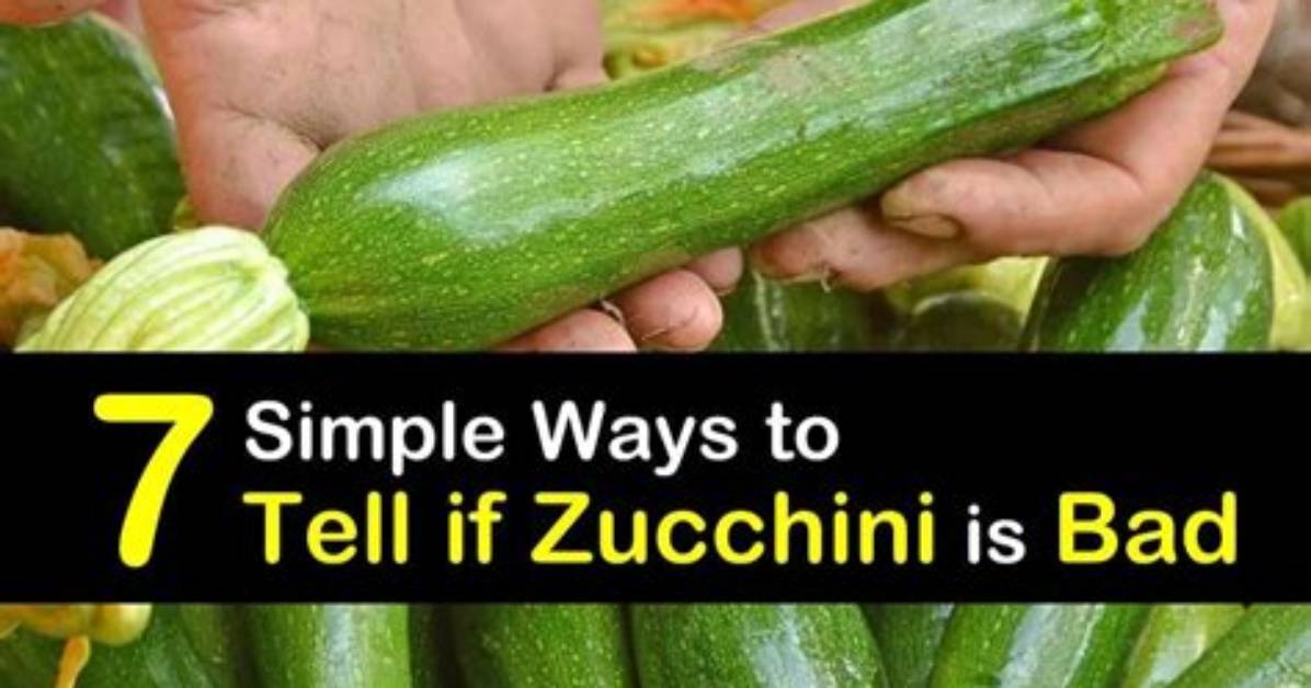 What Does Bad Zucchini Look Like
