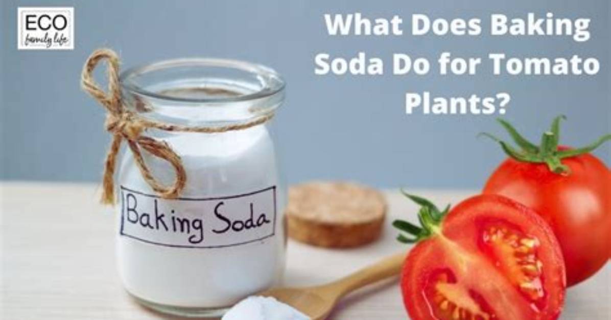 What Does Baking Soda Do to Tomato Sauce