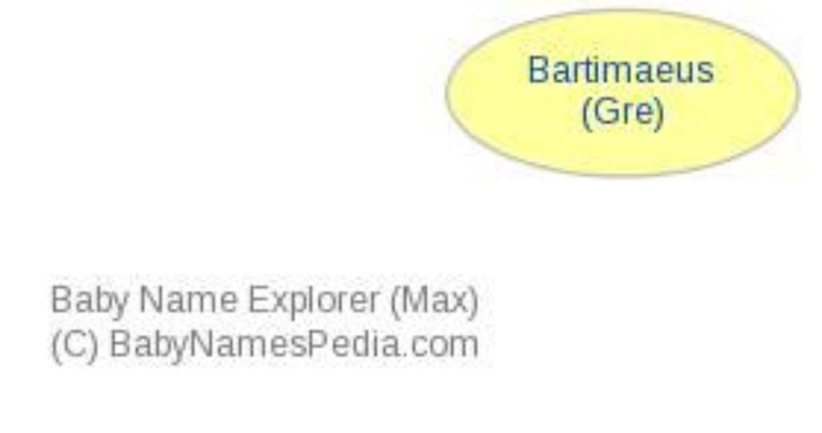 What Does Bartimaeus Mean?