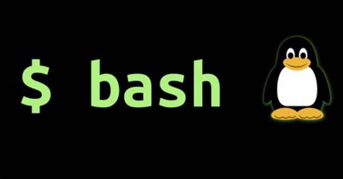 What Does Bash Mean in Linux?