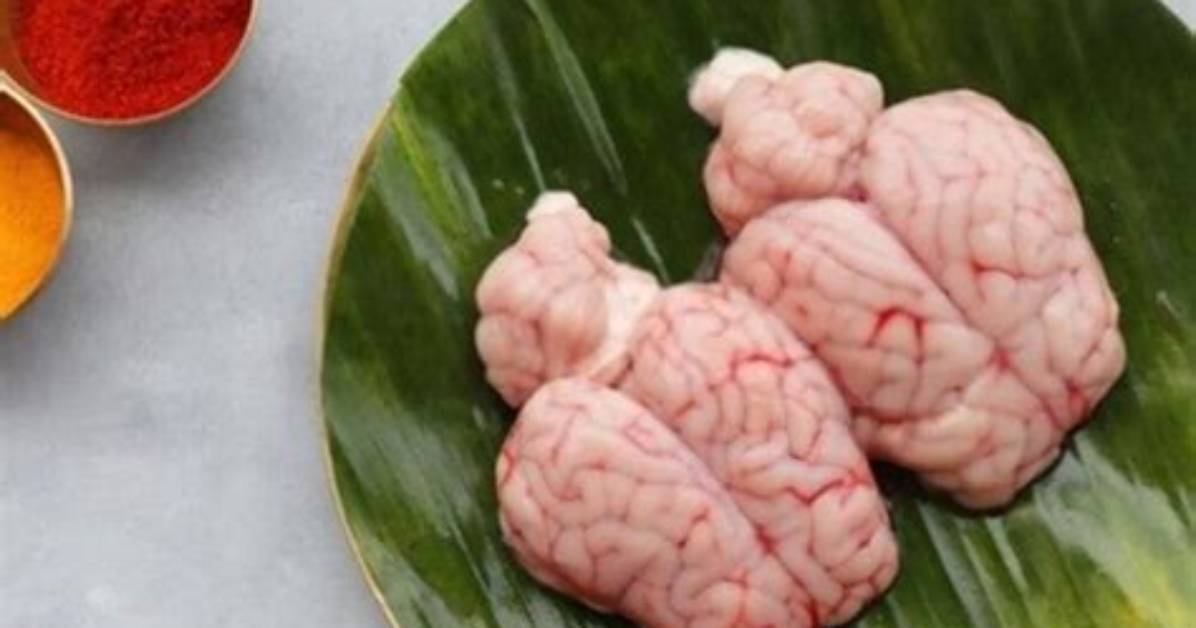 What Does Beef Brain Taste Like?