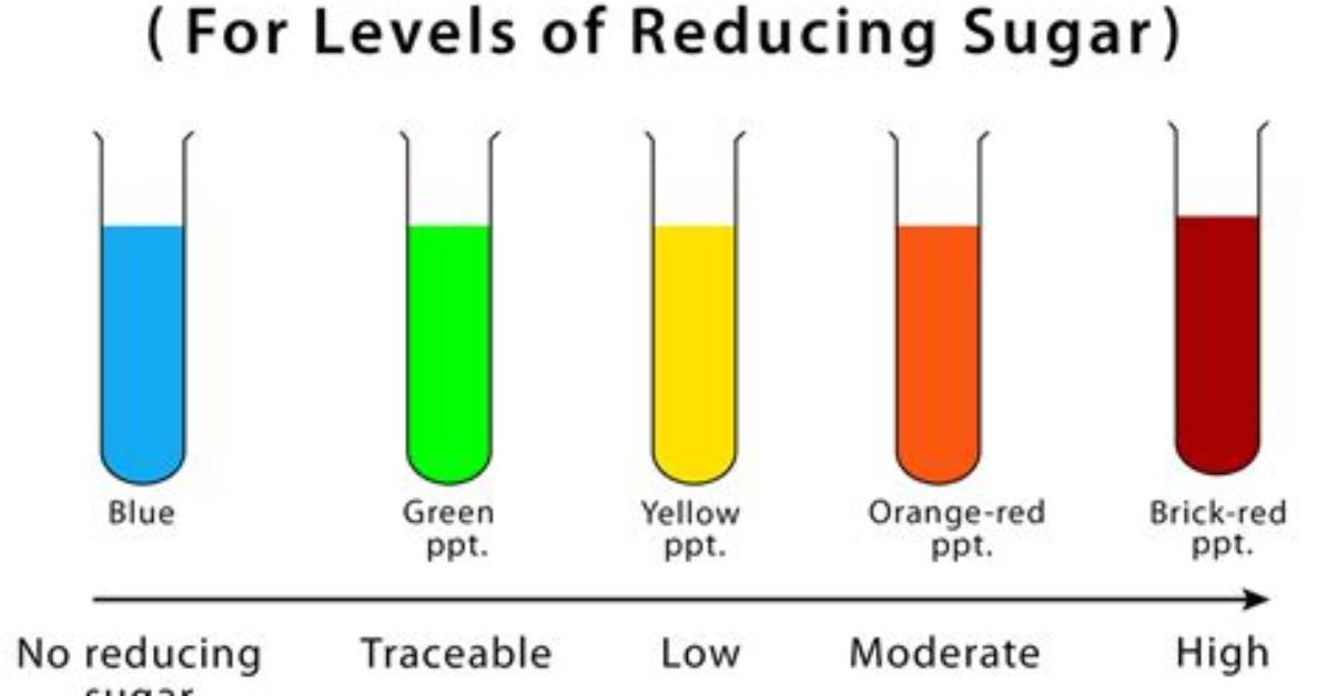 What Does Benedict's Solution Test for?