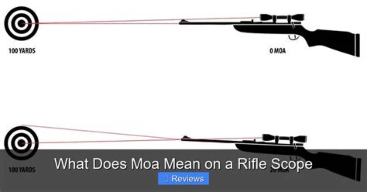 What Does Bg Moa Mean