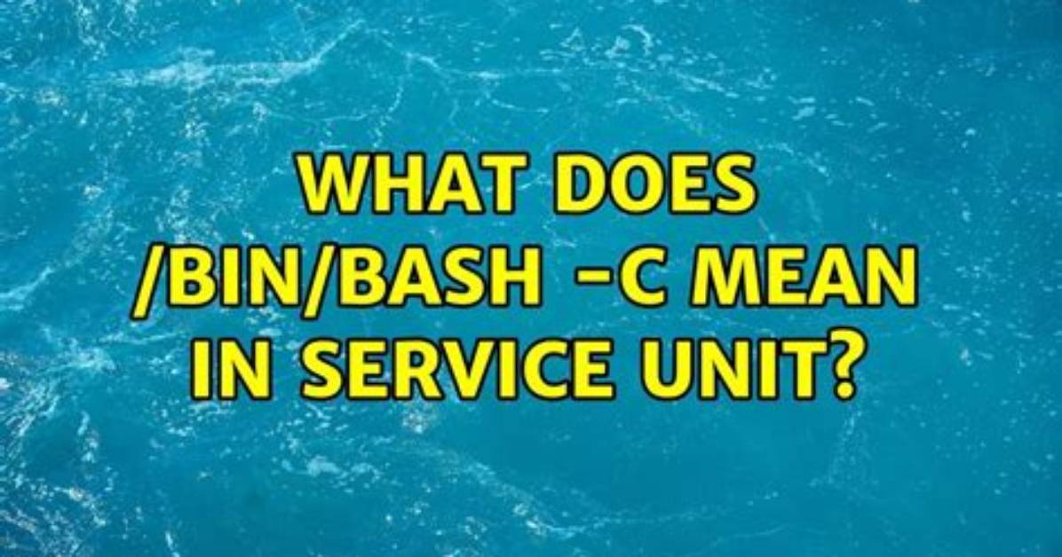 What Does /Bin/Bash -C Mean in Service Unit?
