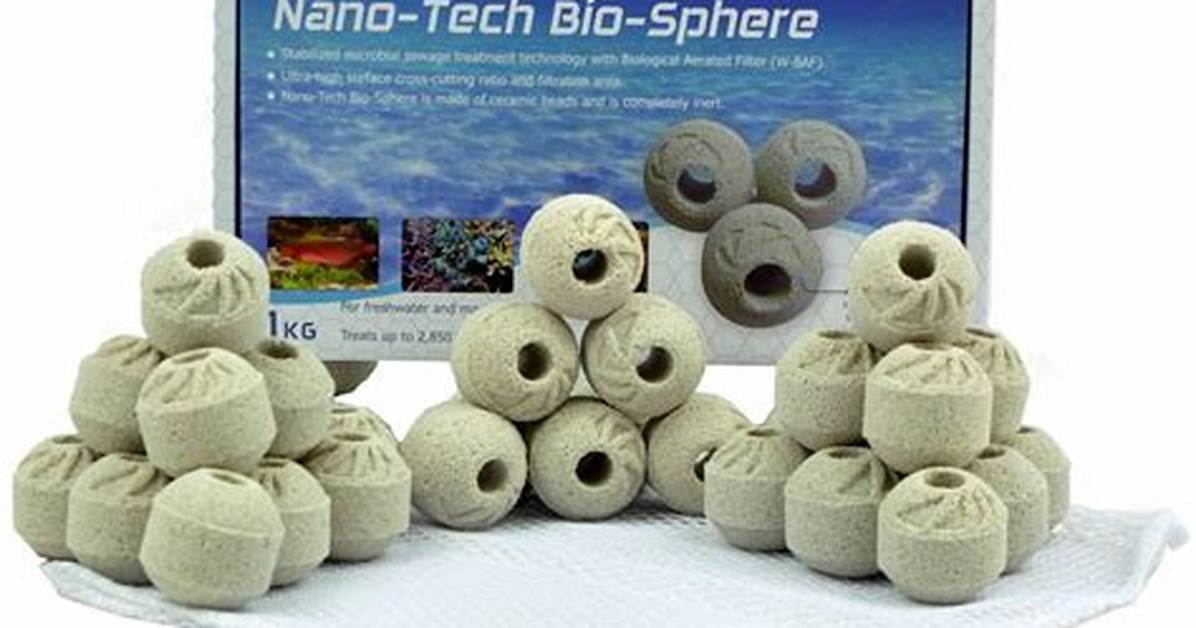 What Does Bio Nano Do