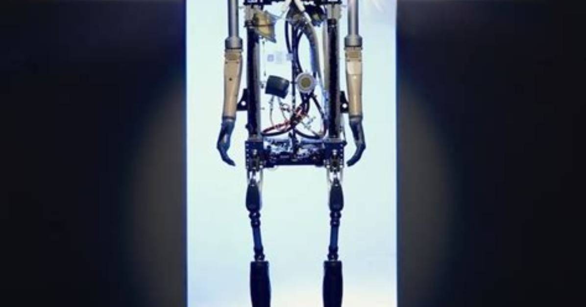 What Does Bionic Mean?