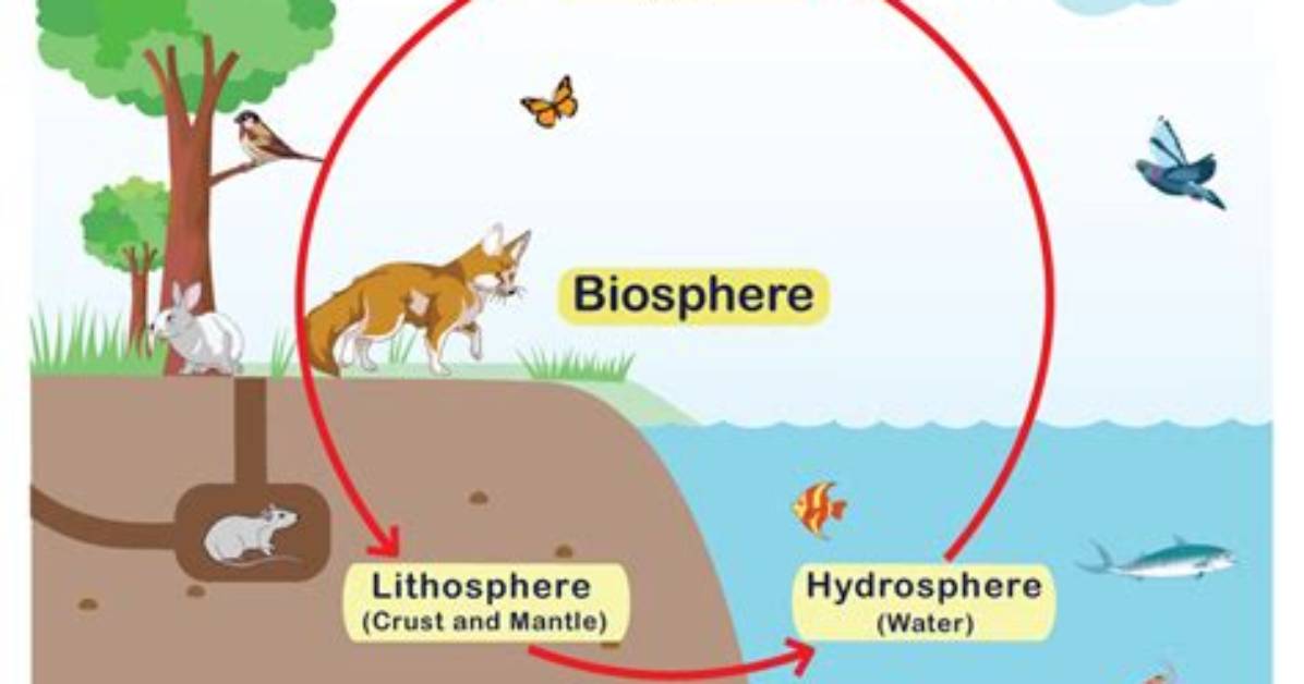 What Does Biosphere Mean?