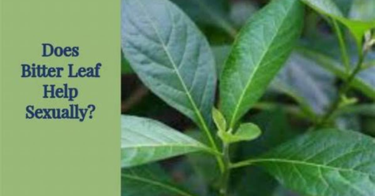 What Does Bitter Leaf Cure