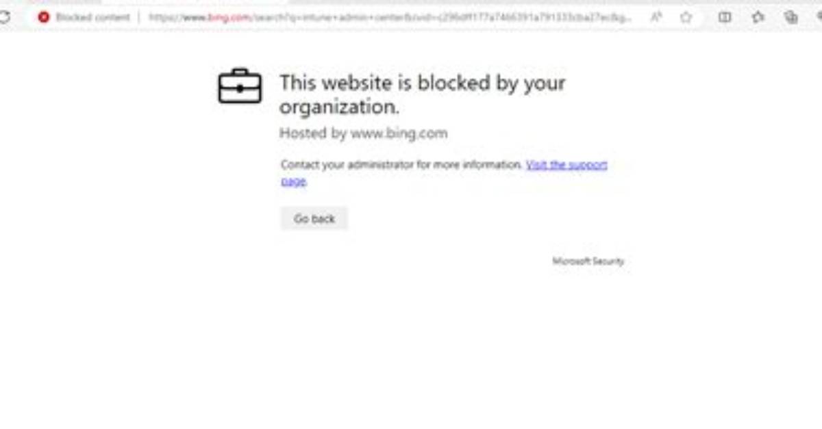What Does Blocked Website Access Mean?