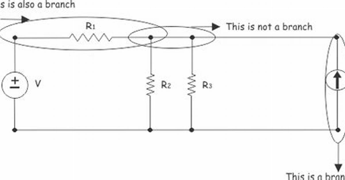What Does Branch Circuit Mean