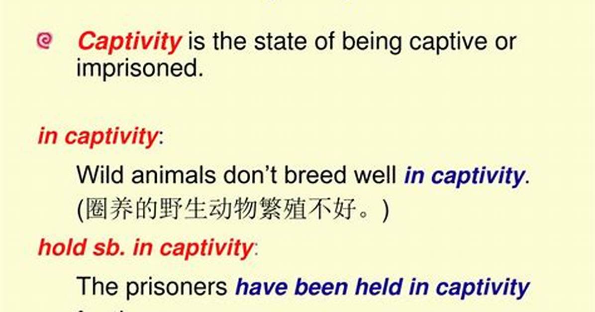 What Does Captivity Mean?