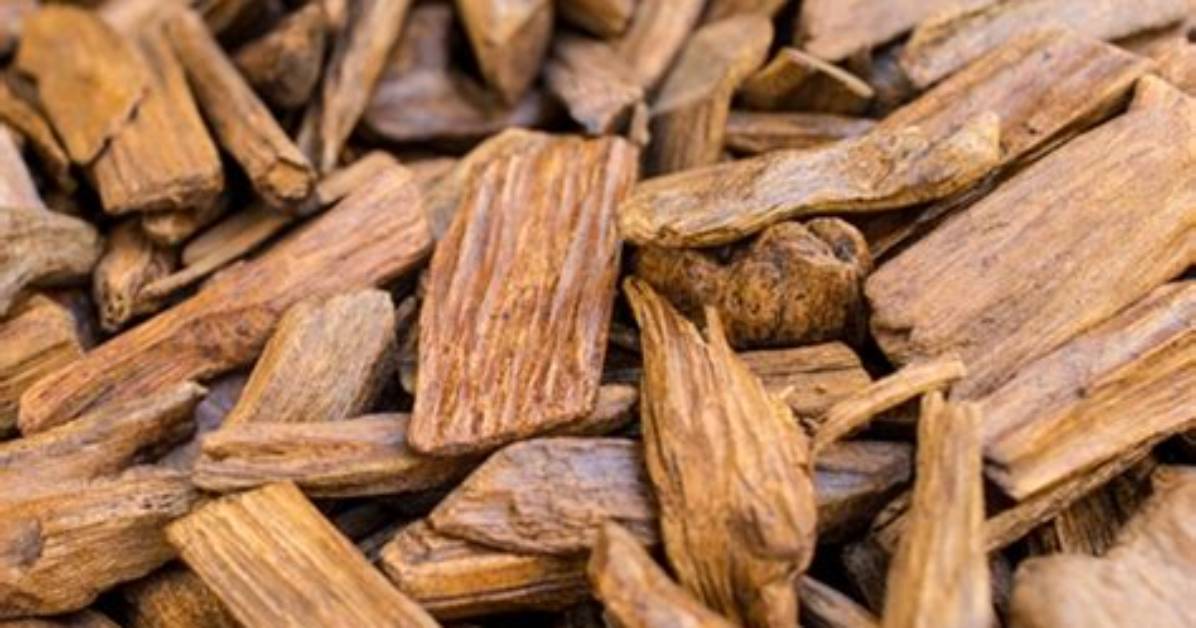 What Does Cascarilla Bark Mean?