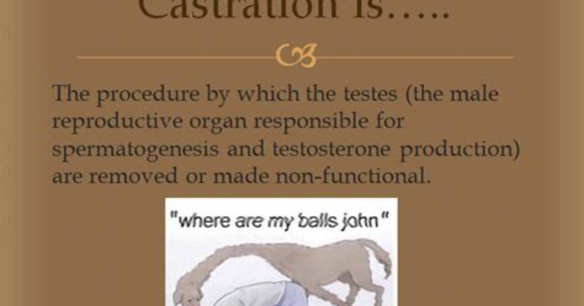 What Does Castrate Me?