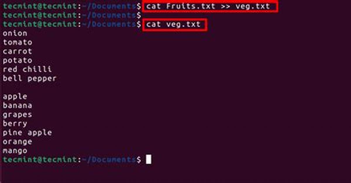 What Does Cat Do in Unix?