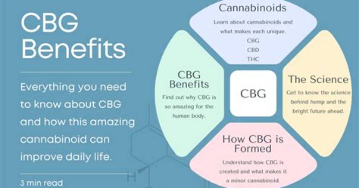 What Does Cbg Do to Your Body
