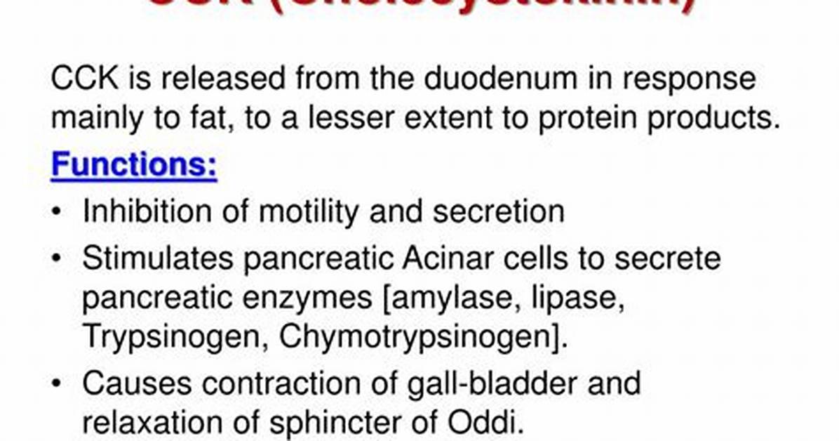 What Does Cck Stimulate