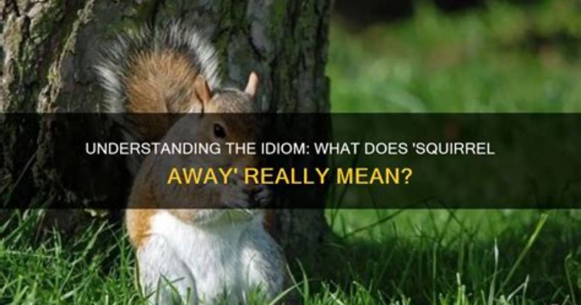 What Does Chatted Away Mean?