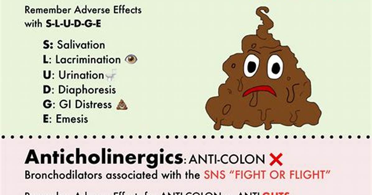 What Does Cholinergic and Anticholinergic Mean?