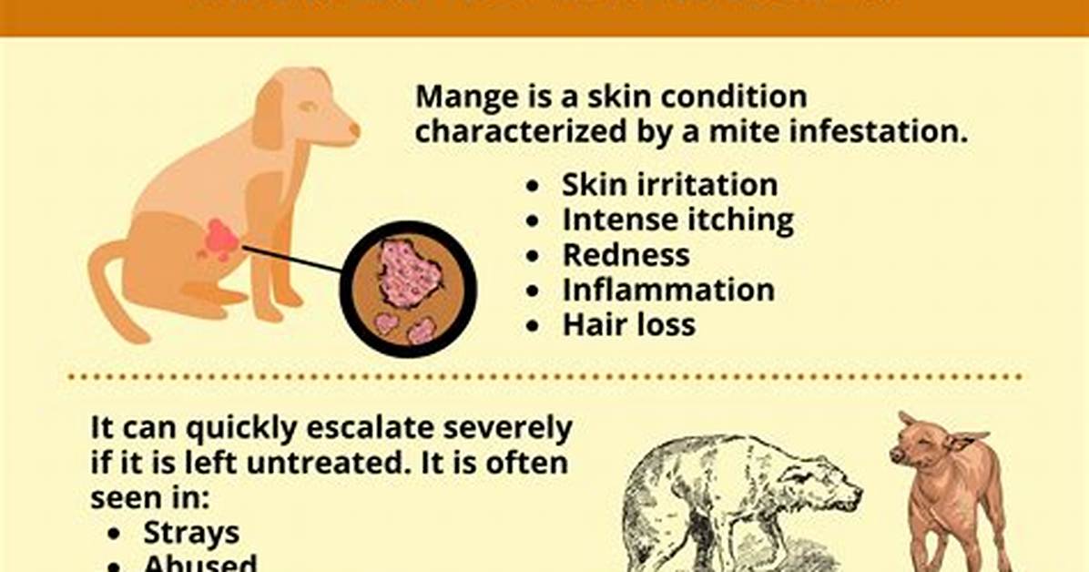 What Does Chorioptic Mange Mean?