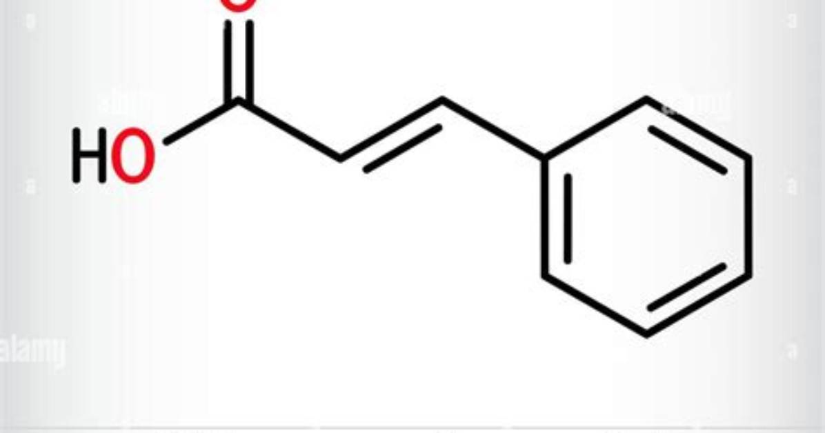 What Does Cinnamic Mean?