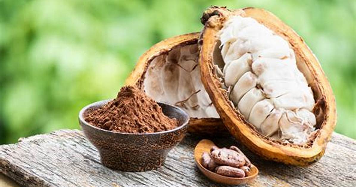 What Does Cocoa Do in Chili