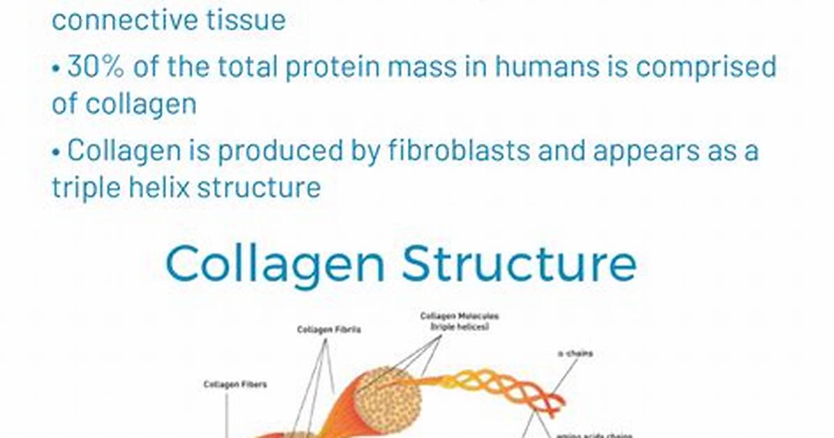 What Does Collagenase Mean?