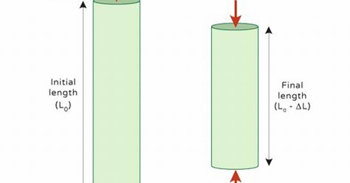 What Does Compressive Mean?