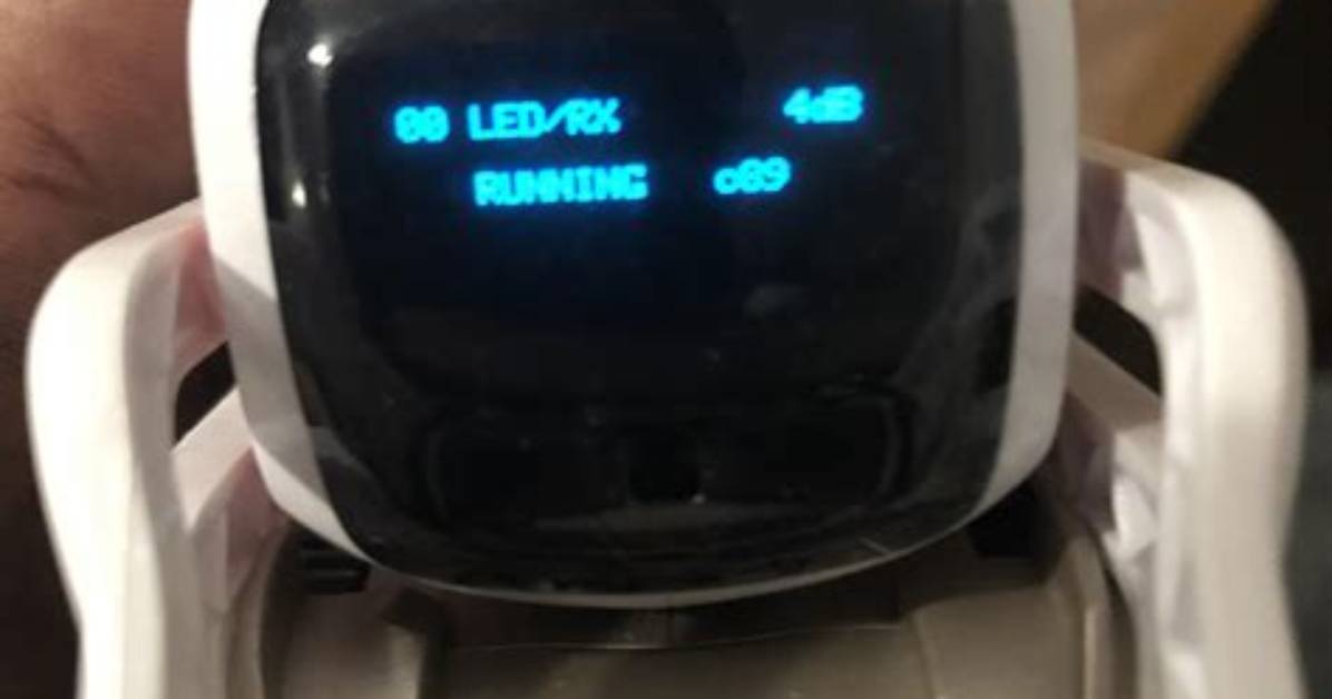 What Does Cozmo Do?