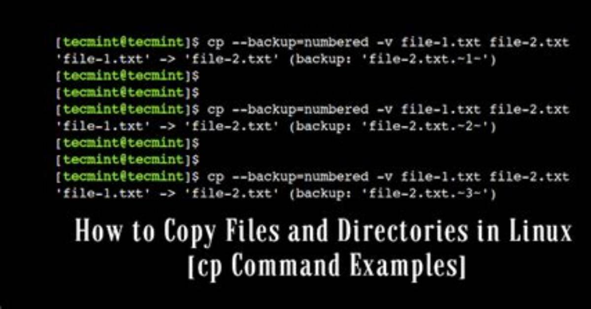 What Does Cp Command Do in Linux?
