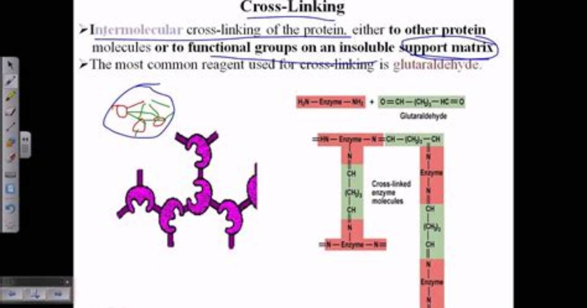 What Does Cross Linking Mean?