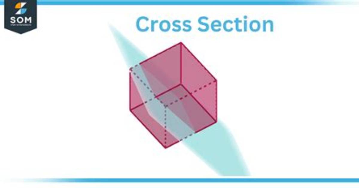 What Does Cross Sectional Mean?
