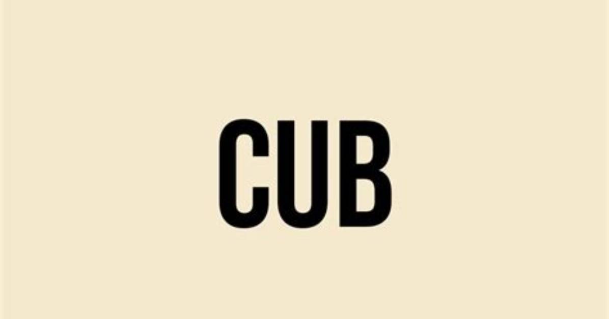 What Does Cub Mean in Slang