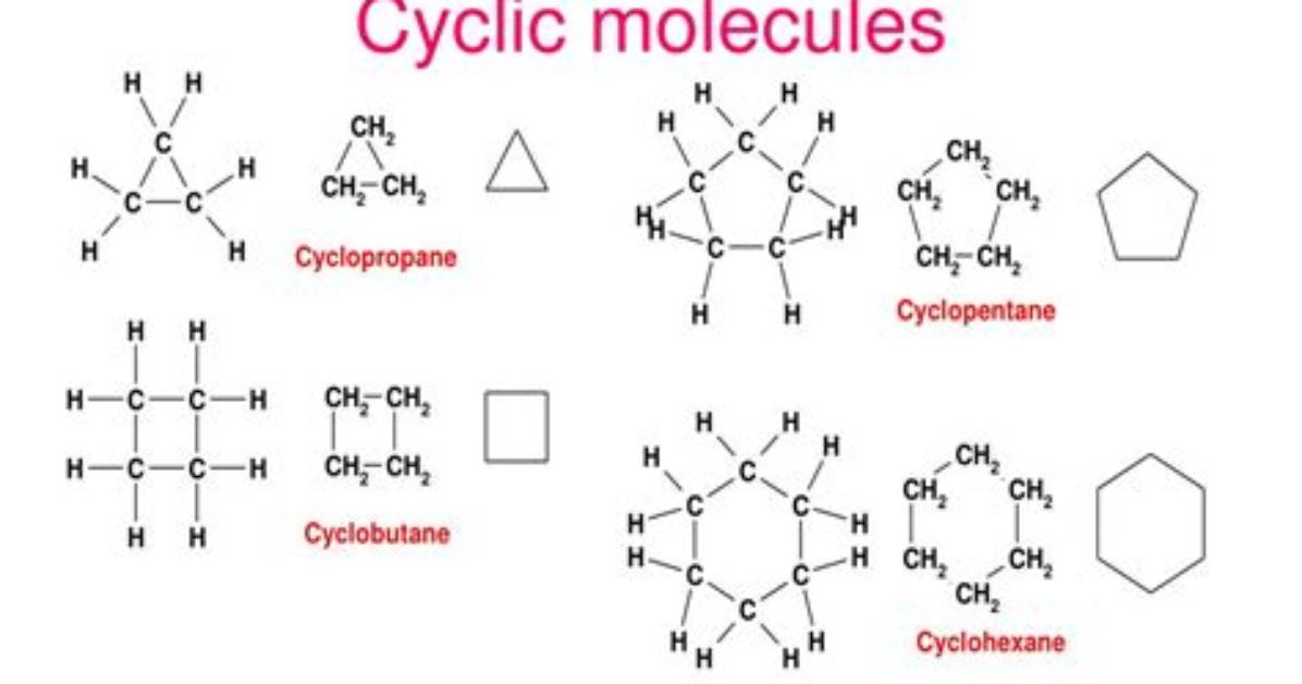 What Does Cyclic Mean?