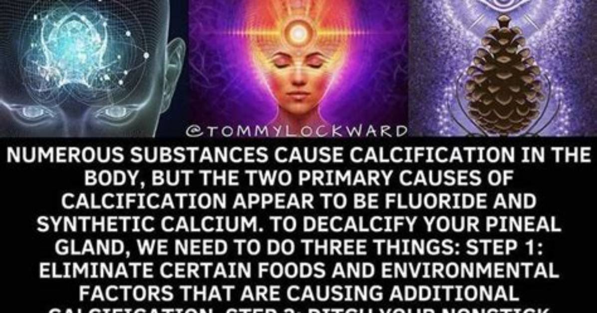 What Does Decalcifying the Pineal Gland Do?