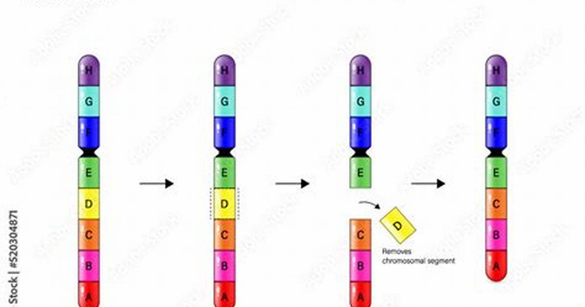 What Does Deletion Mutation Cause?