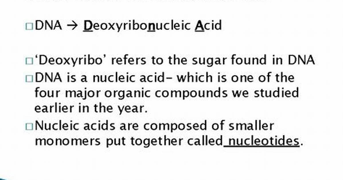 What Does Deoxyribonucleic Acid Stand for?