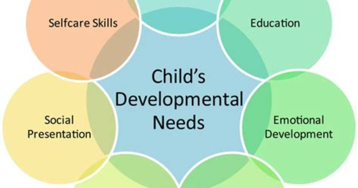 What Does Developmental Needs Mean?