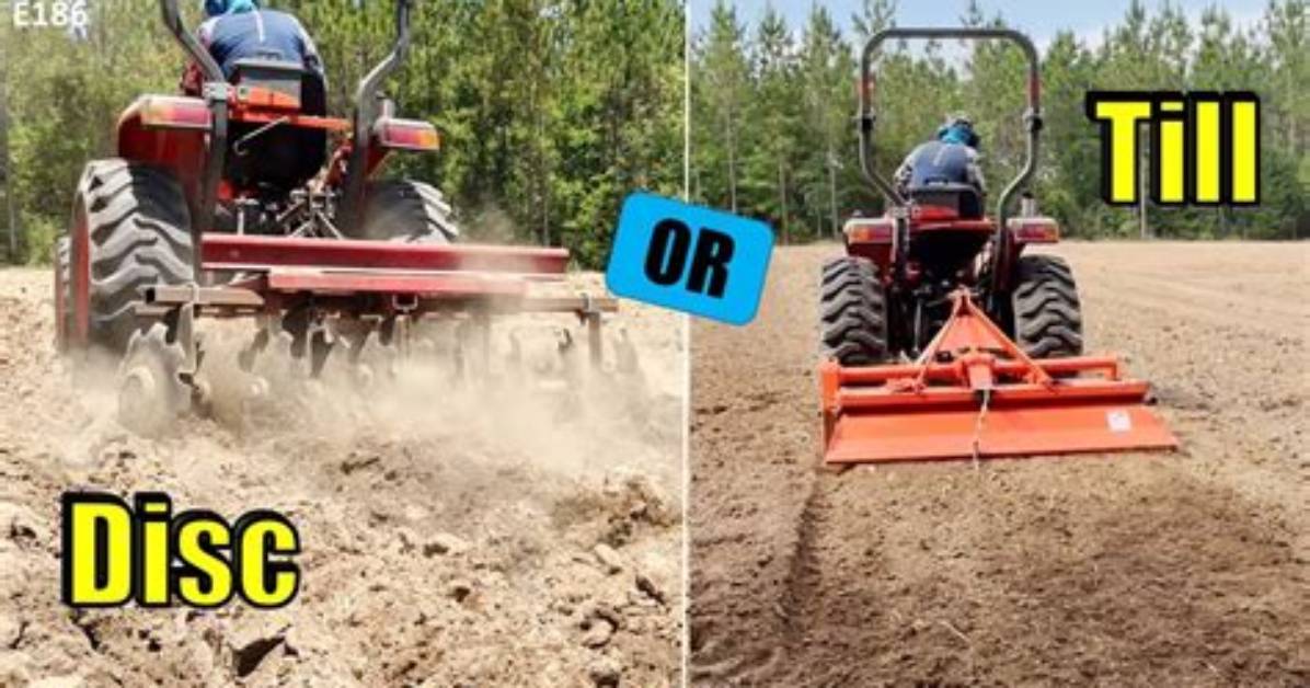 What Does Disking a Field Do?