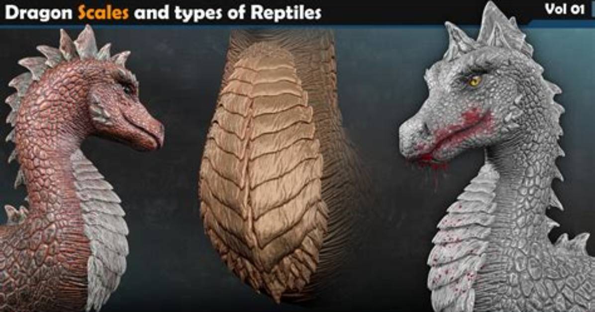 What Does Dragon Scale Evolve?