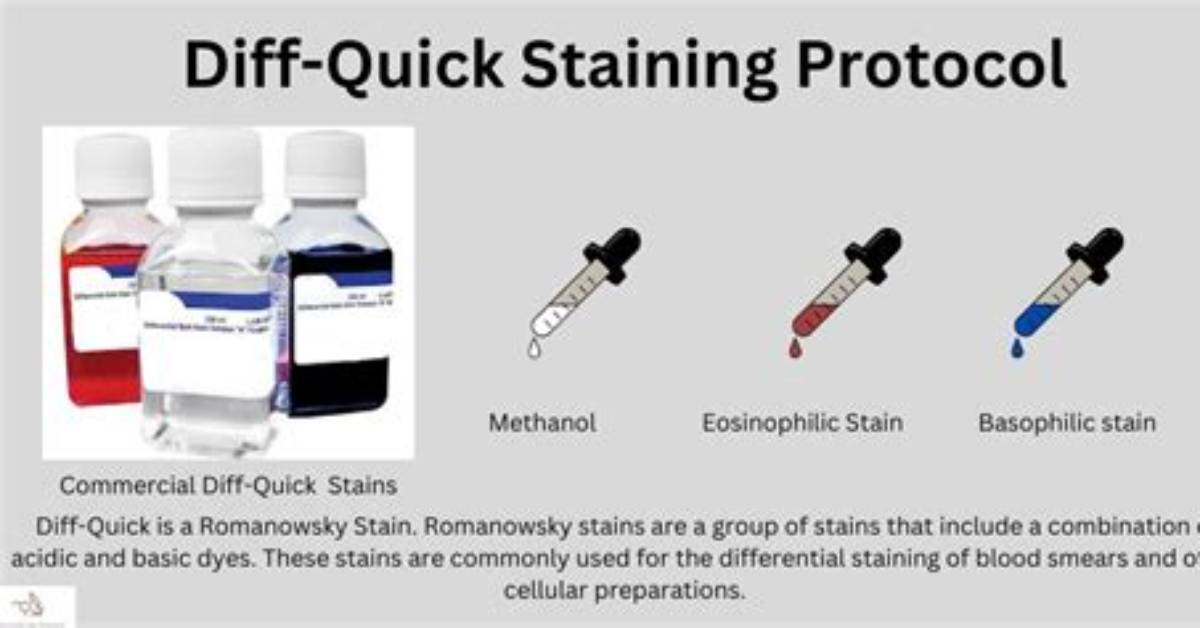 What Does Each Diff-Quik Stain Do