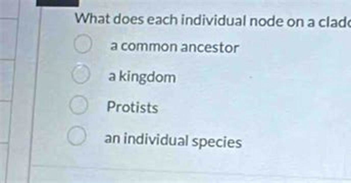 What Does Each Individual Node in a Cladogram Represent