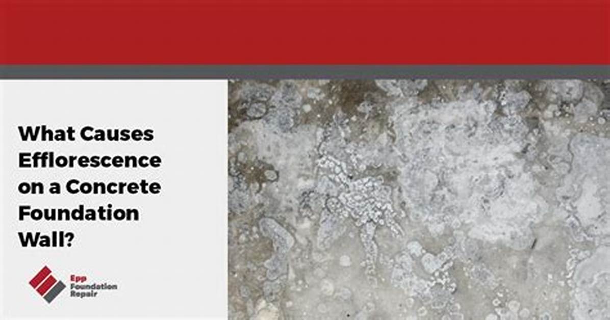 What Does Efflorescence Mean?