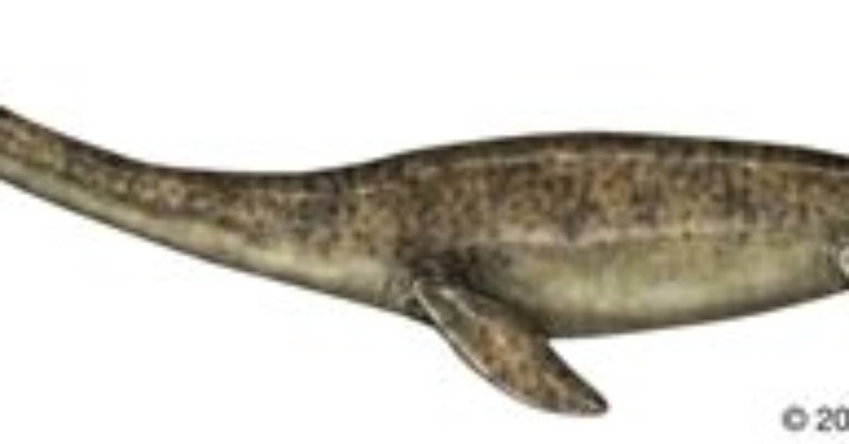 What Does Elasmosaurus Mean?