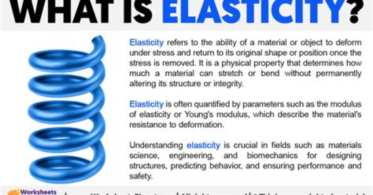 What Does Elasticity Mean?