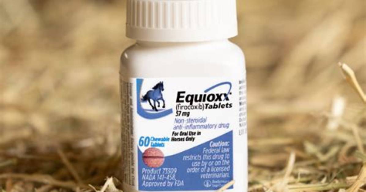 What Does Equioxx Do for Horses